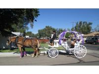 Hearts and Trails Carriage Company